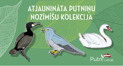 Nozīmītes